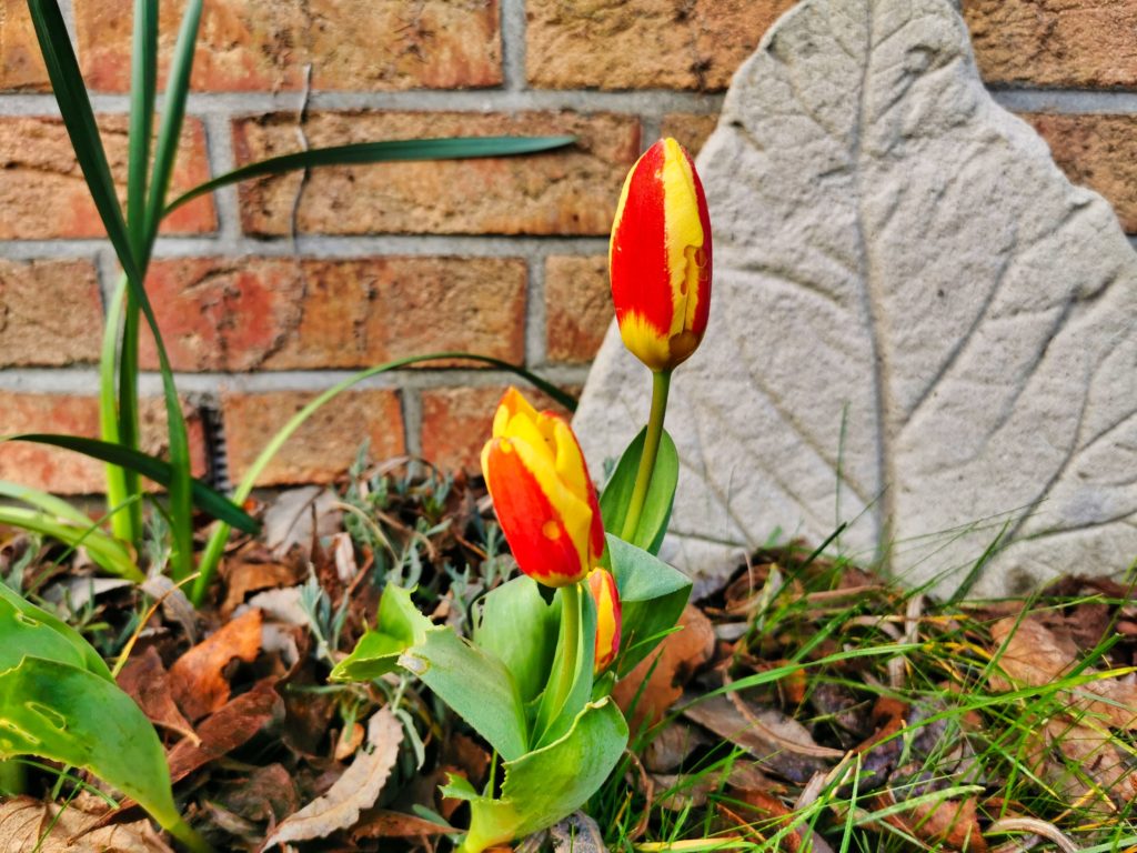 IMG_20200226_083542_55