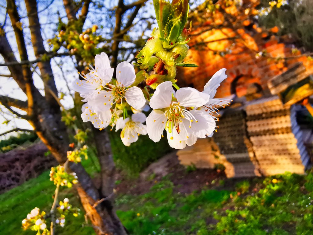 IMG_20200407_185731_78