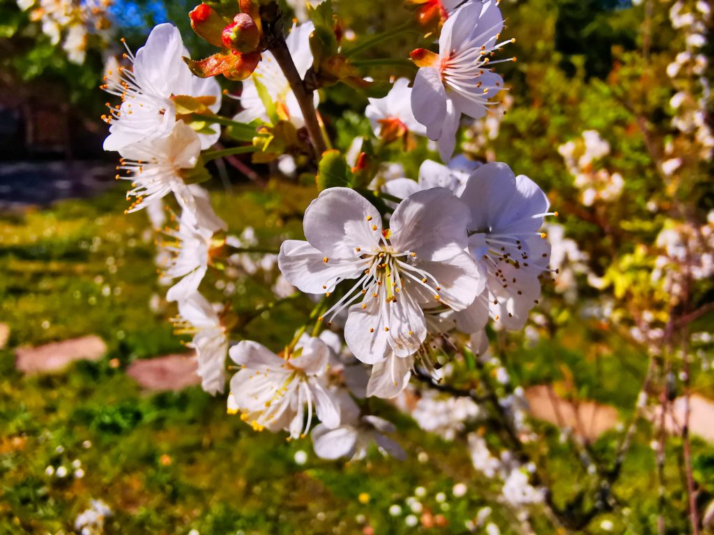 IMG_20200426_161346_121